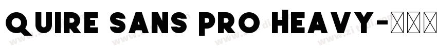 Quire Sans Pro Heavy字体转换